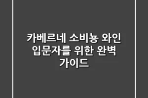 카베르네 소비뇽, 와인 입문자를 위한 완벽 가이드