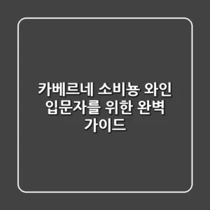 카베르네 소비뇽, 와인 입문자를 위한 완벽 가이드