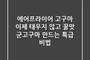 에어프라이어 고구마, 이제 태우지 않고 꿀맛 군고구마 만드는 특급 비법!
