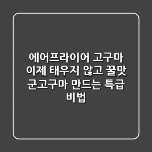 에어프라이어 고구마, 이제 태우지 않고 꿀맛 군고구마 만드는 특급 비법!