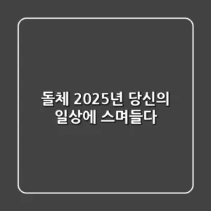 돌체, 2025년 당신의 일상에 스며들다