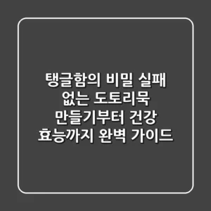 탱글함의 비밀! 실패 없는 도토리묵 만들기부터 건강 효능까지 완벽 가이드