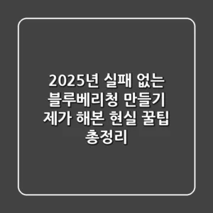 2025년 실패 없는 블루베리청 만들기: 제가 해본 현실 꿀팁 총정리